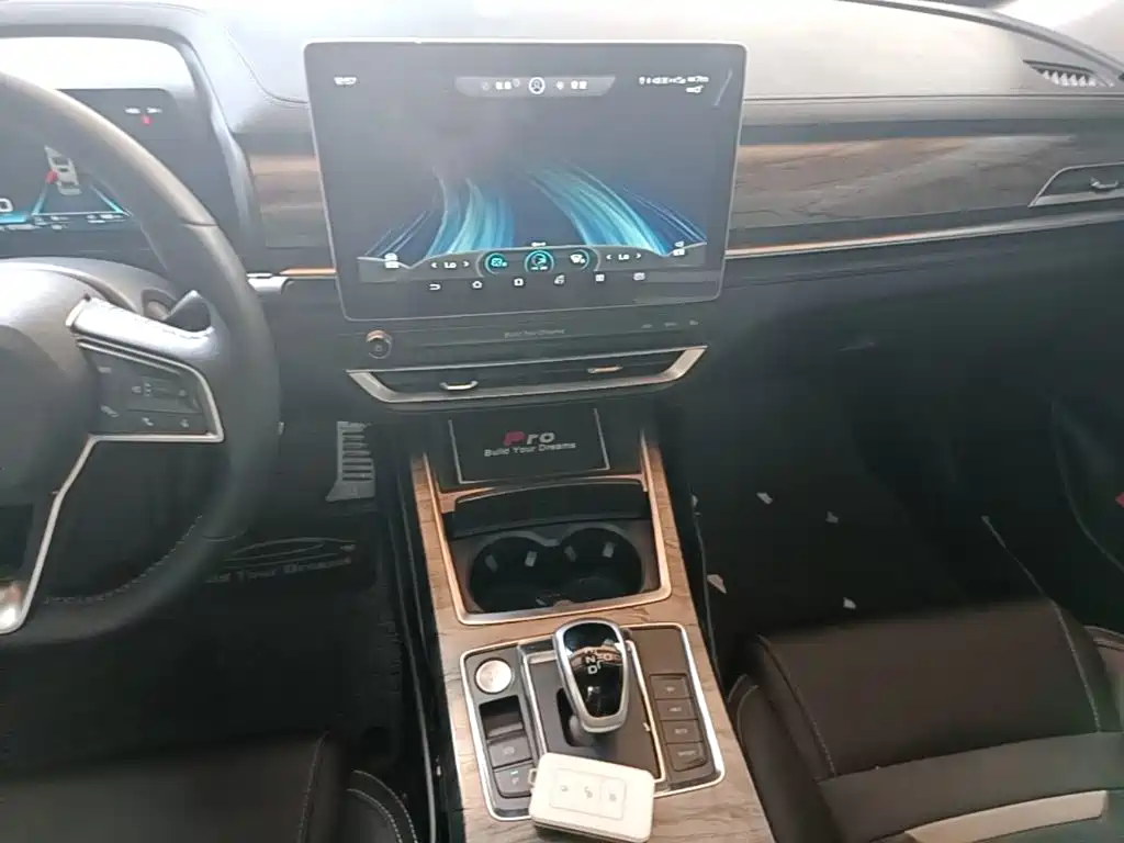 BYD Qin Pro NEV — фото 13