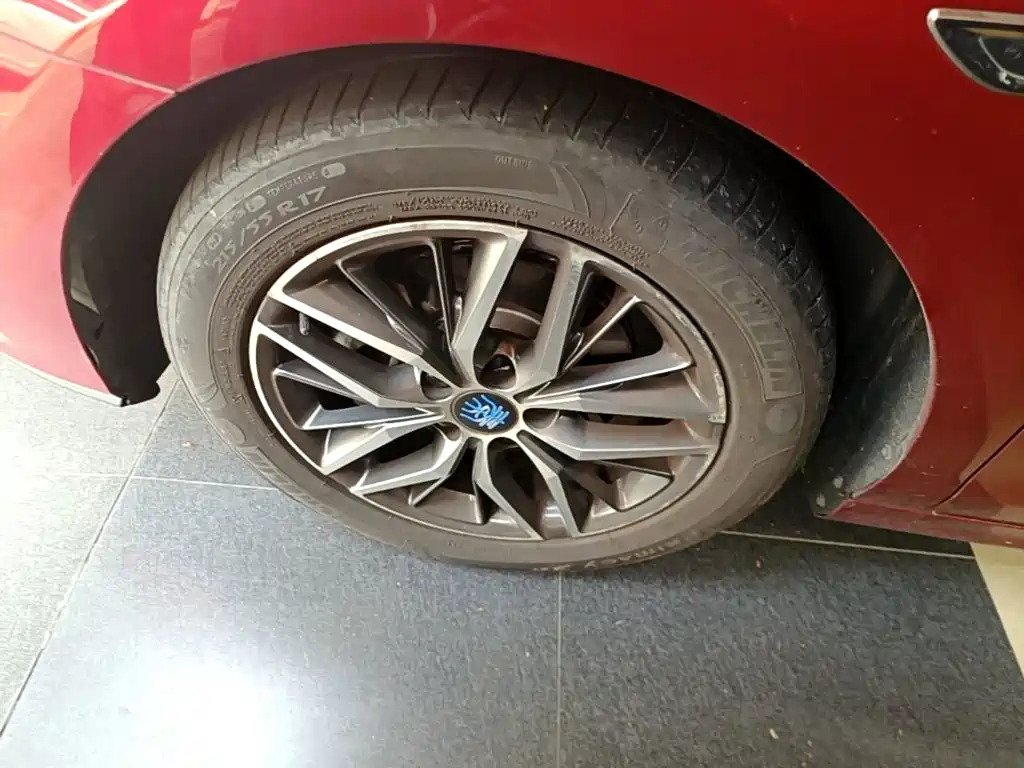 BYD Qin Pro NEV — фото 23