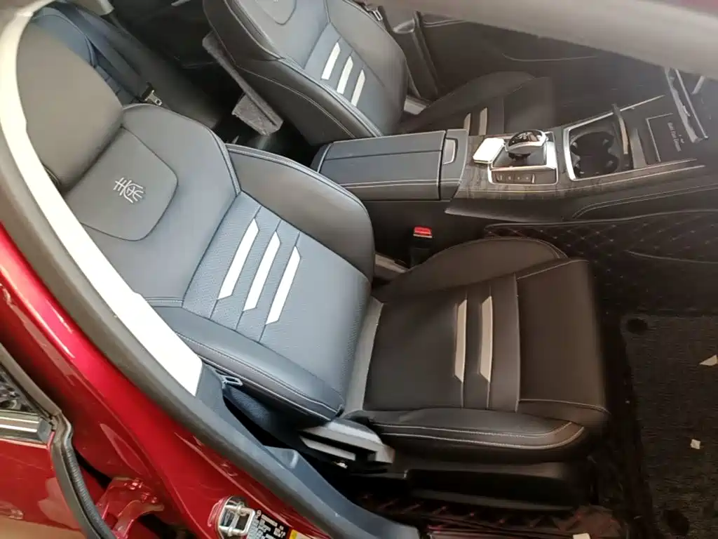 BYD Qin Pro NEV — фото 25