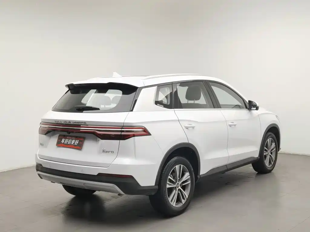 BYD Pro — фото 2