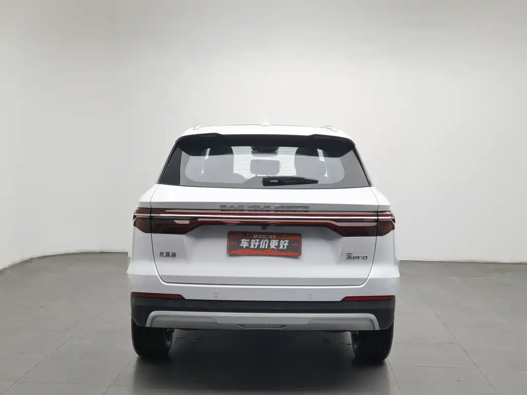 BYD Pro — фото 4
