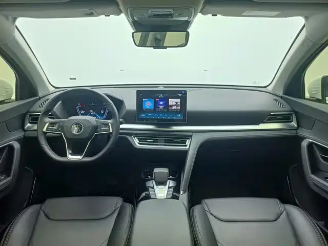 BYD Pro — фото 5