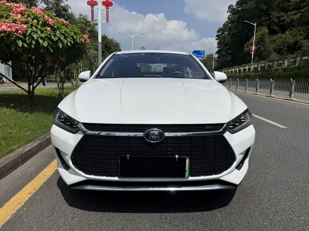 BYD Qin Pro NEV — фото 2