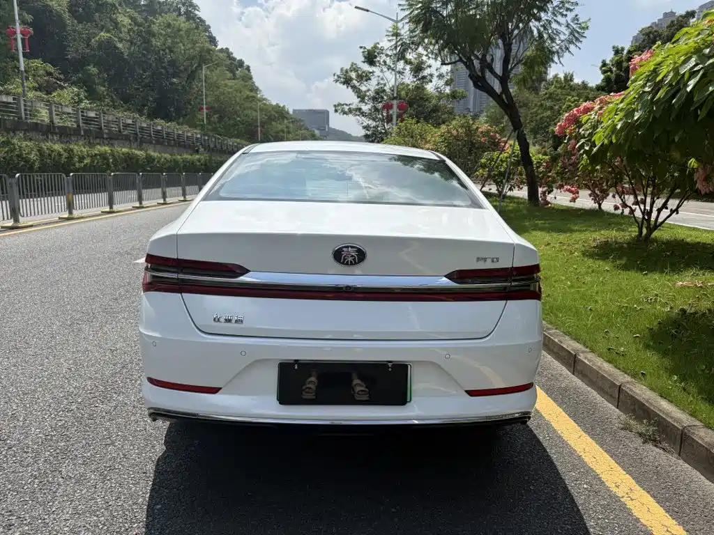 BYD Qin Pro NEV — фото 6