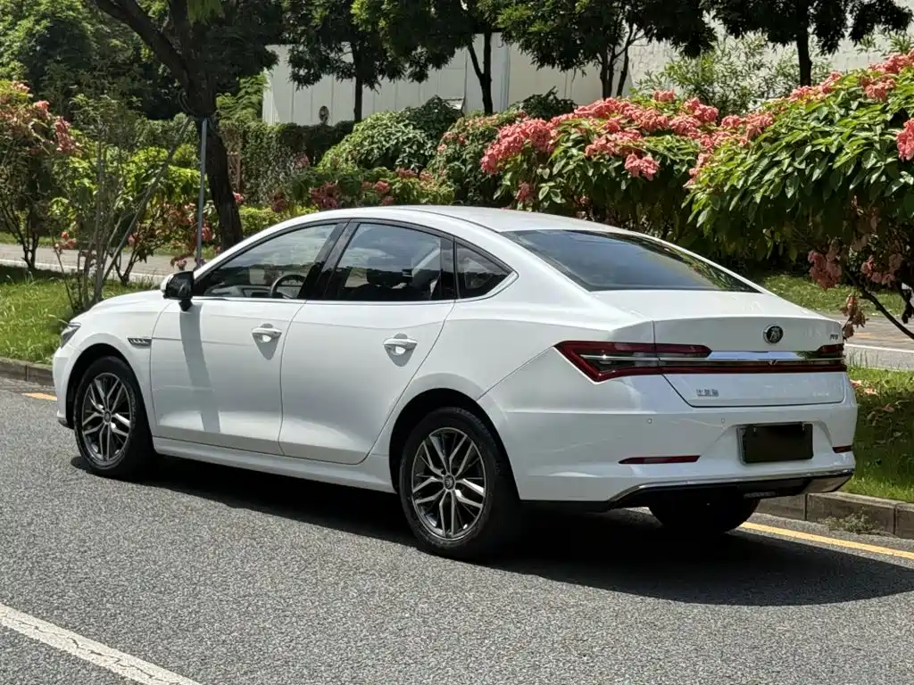 BYD Qin Pro NEV — фото 7