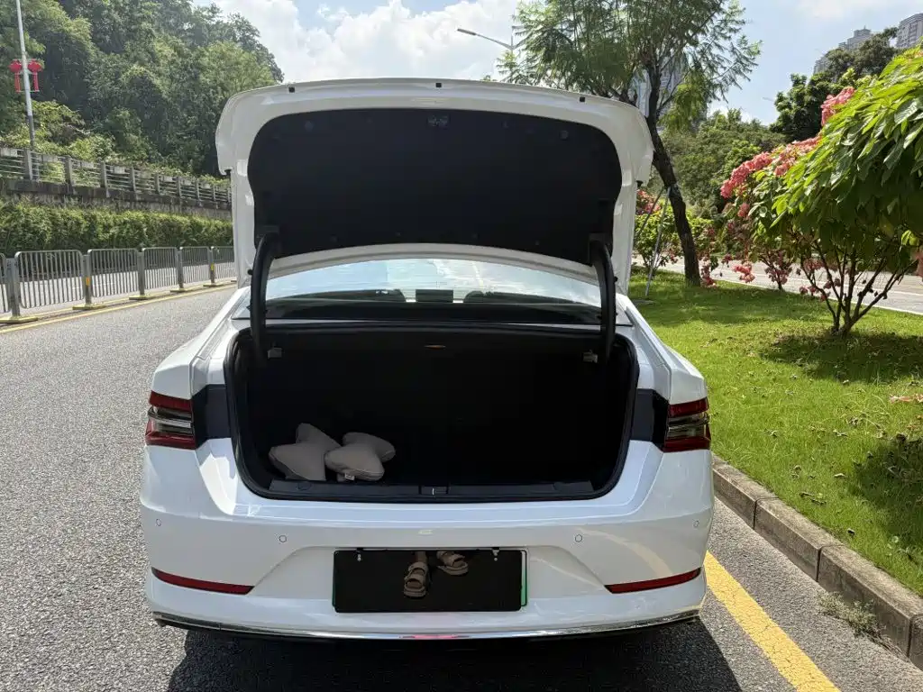 BYD Qin Pro NEV — фото 8