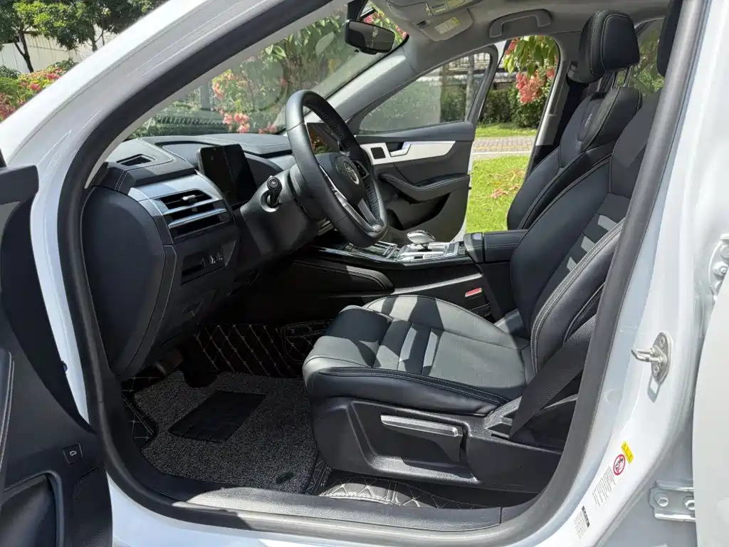 BYD Qin Pro NEV — фото 9