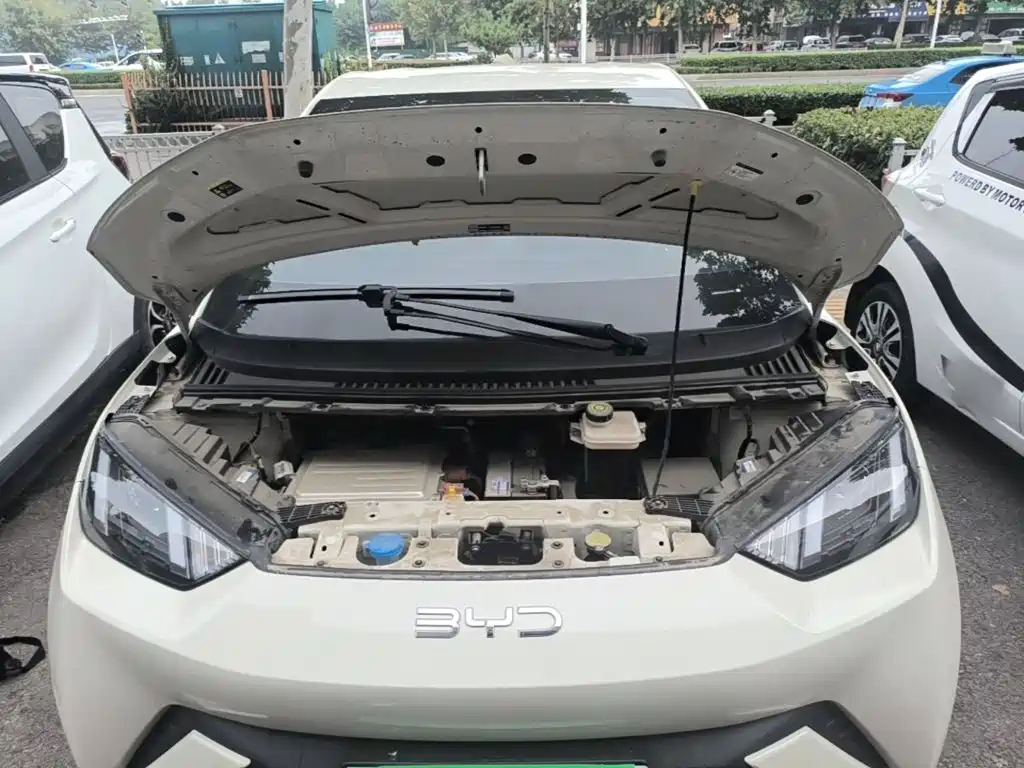 BYD Seagull — фото 20
