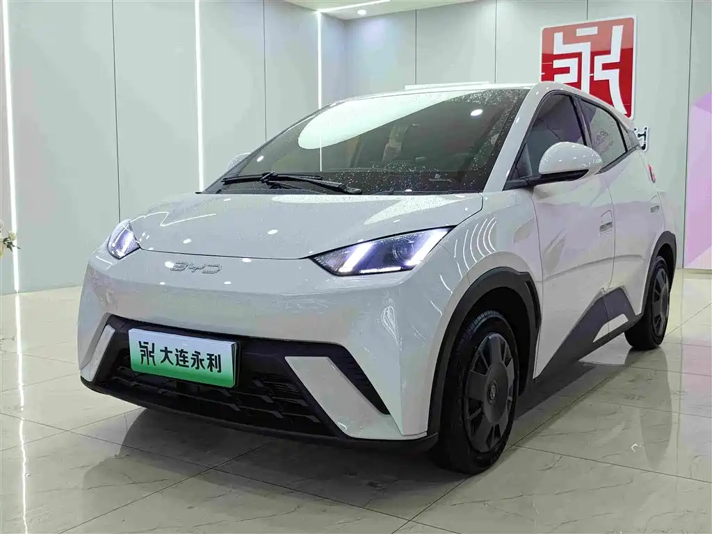 BYD Seagull