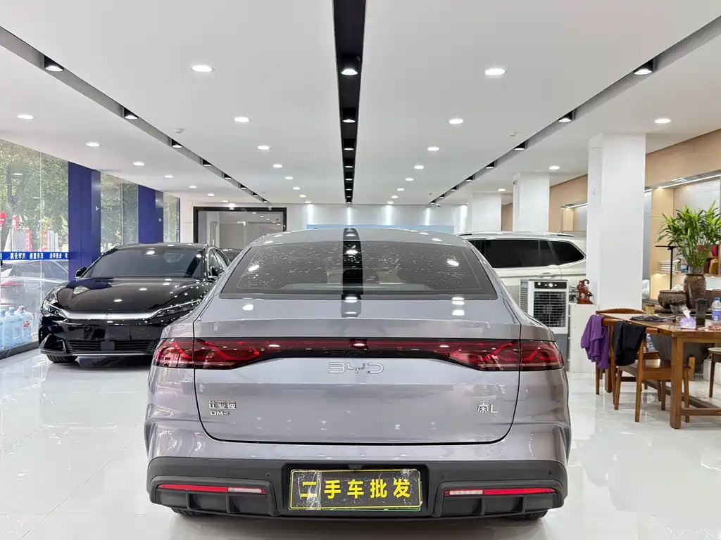 BYD Qin L — фото 8
