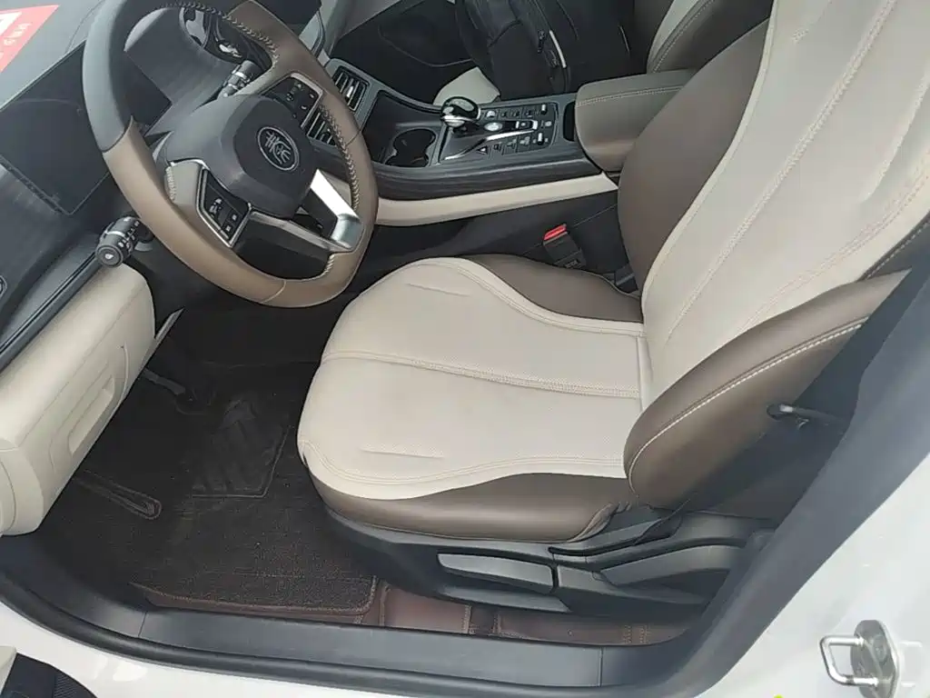 BYD Qin PLUS — фото 15