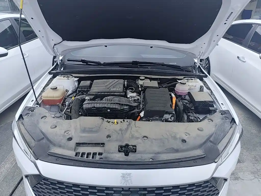 BYD Qin PLUS — фото 20