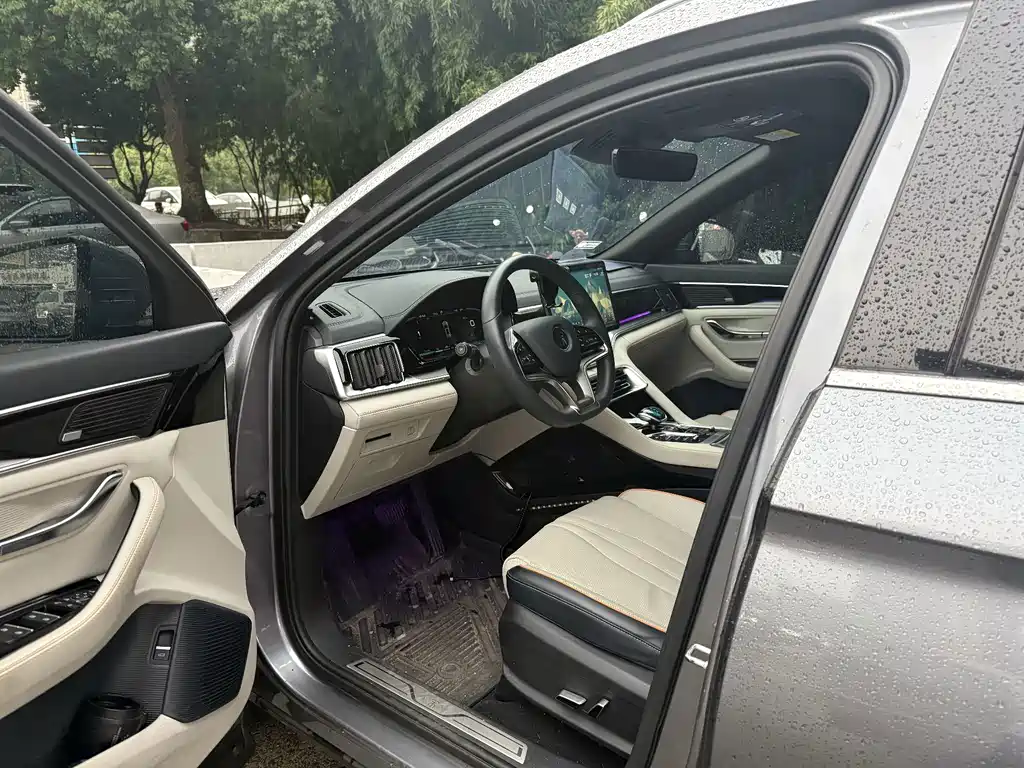 BYD PLUS New Energy — фото 10