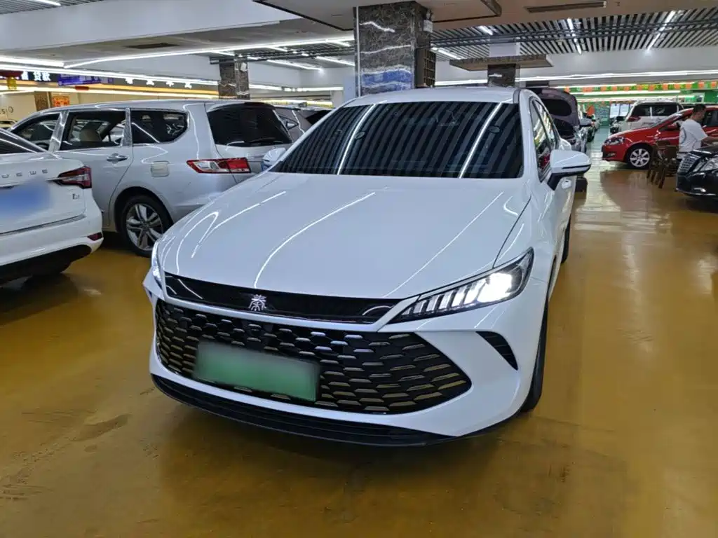 BYD Qin PLUS — фото 2