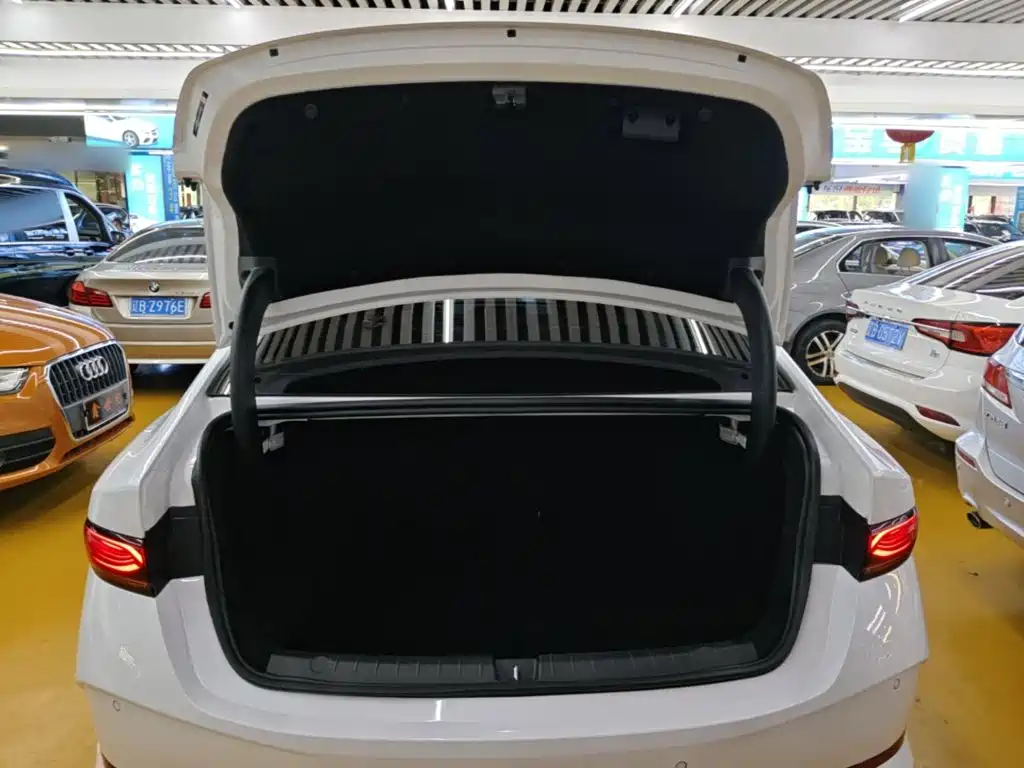 BYD Qin PLUS — фото 19
