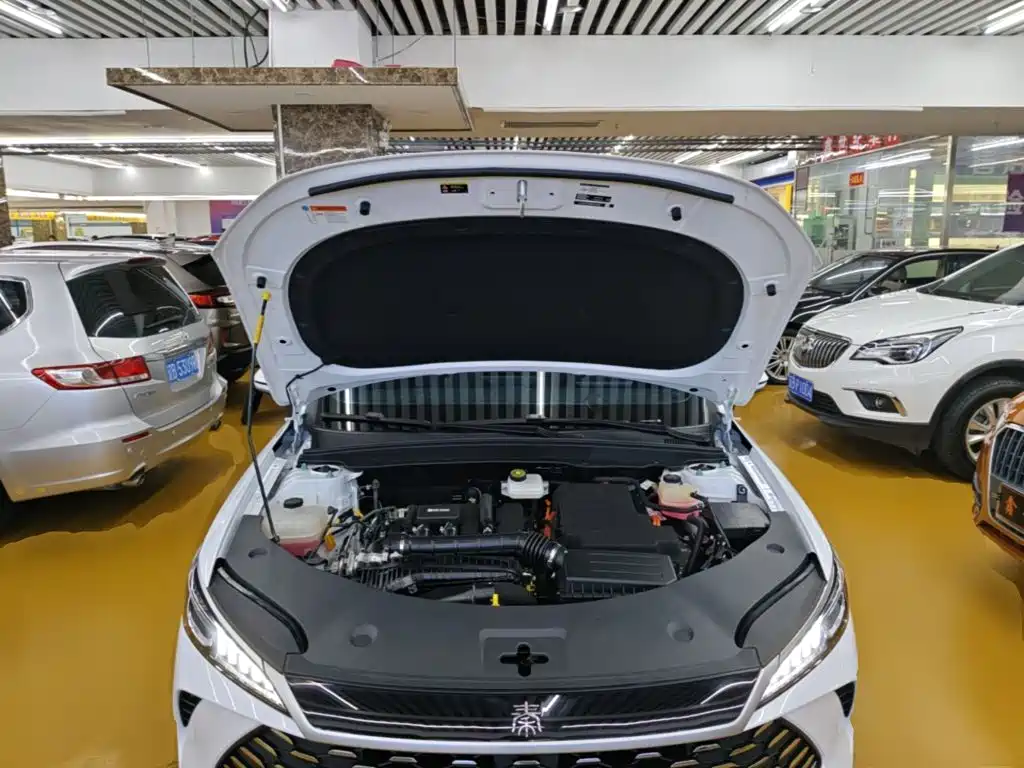 BYD Qin PLUS — фото 20