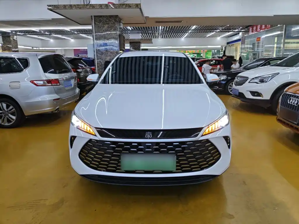 BYD Qin PLUS — фото 3