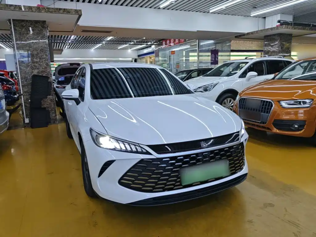 BYD Qin PLUS — фото 4