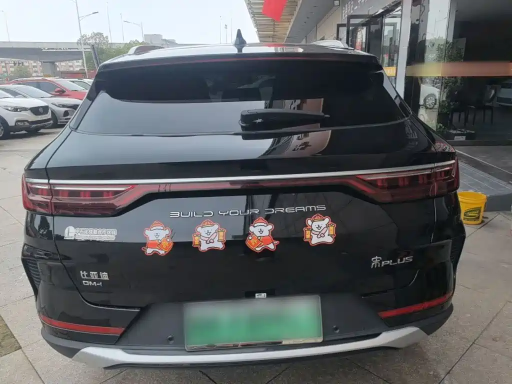 BYD PLUS New Energy — фото 6
