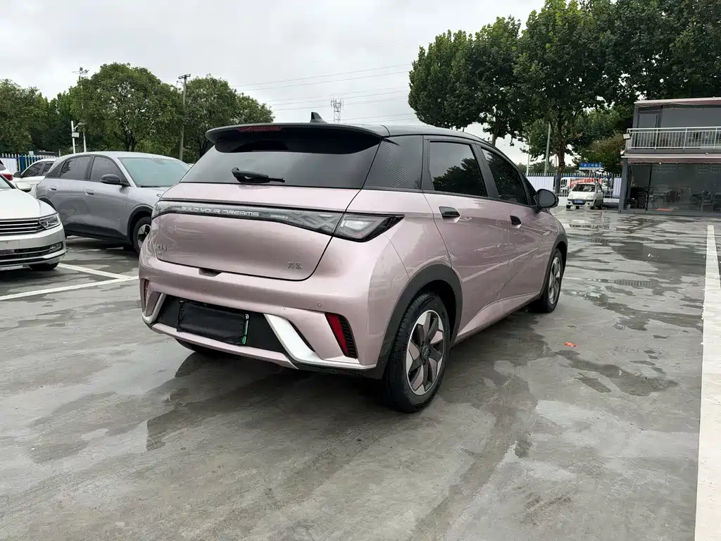 BYD Dolphin — фото 7