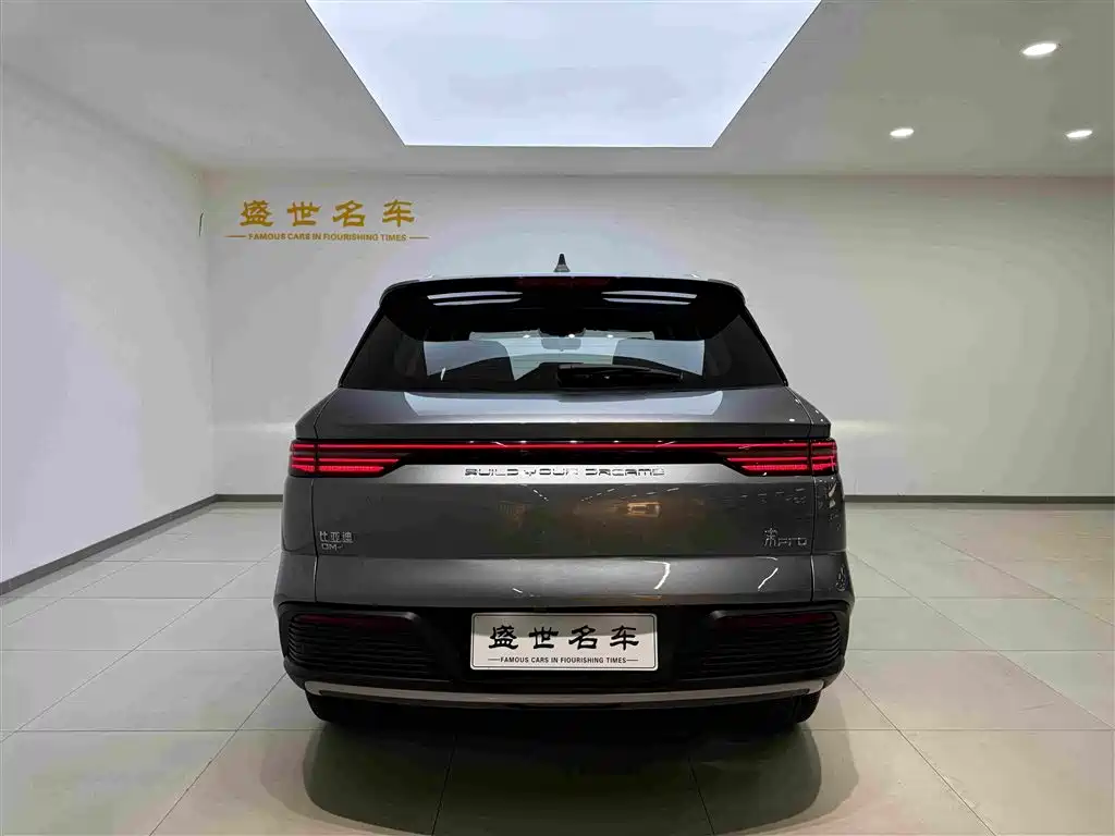 BYD Pro New Energy — фото 17