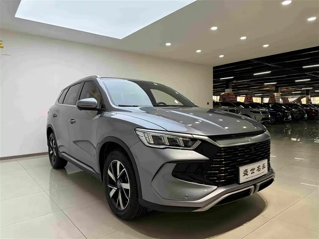 BYD Pro New Energy — фото 4