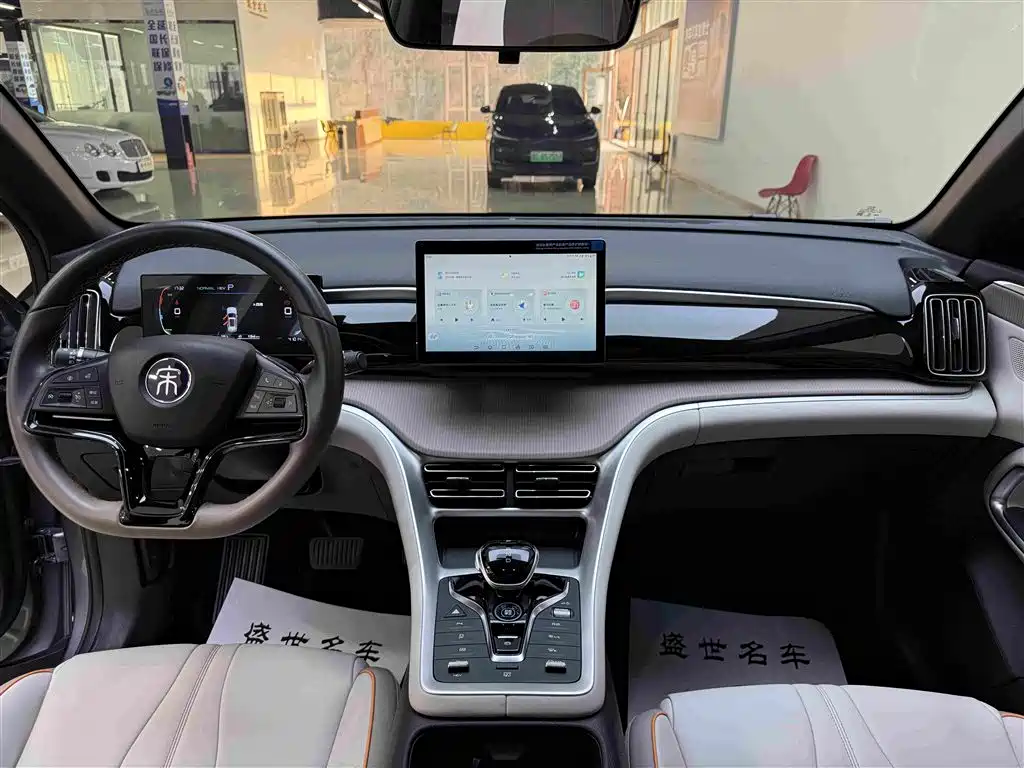 BYD Pro New Energy — фото 7