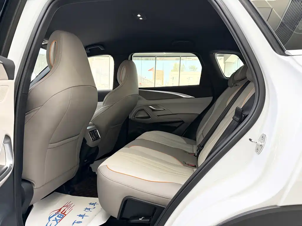 BYD Pro New Energy — фото 6