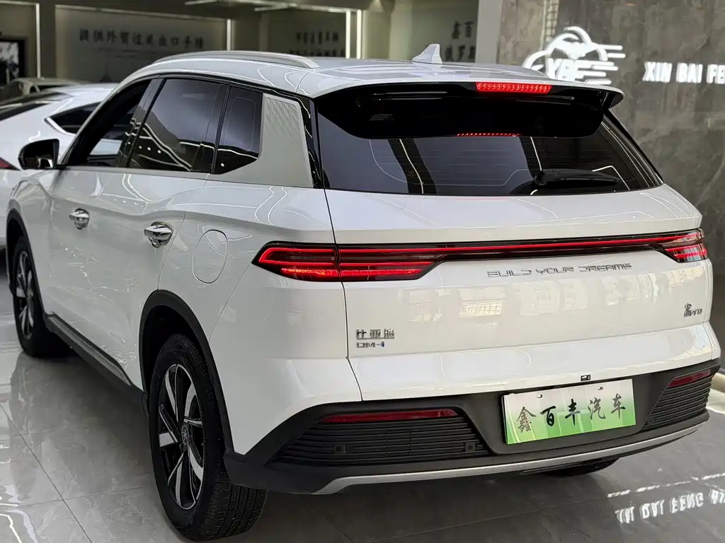 BYD Pro New Energy — фото 7