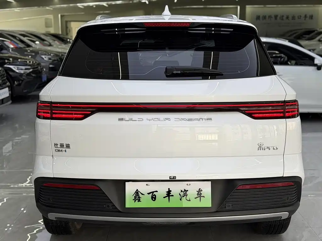 BYD Pro New Energy — фото 8