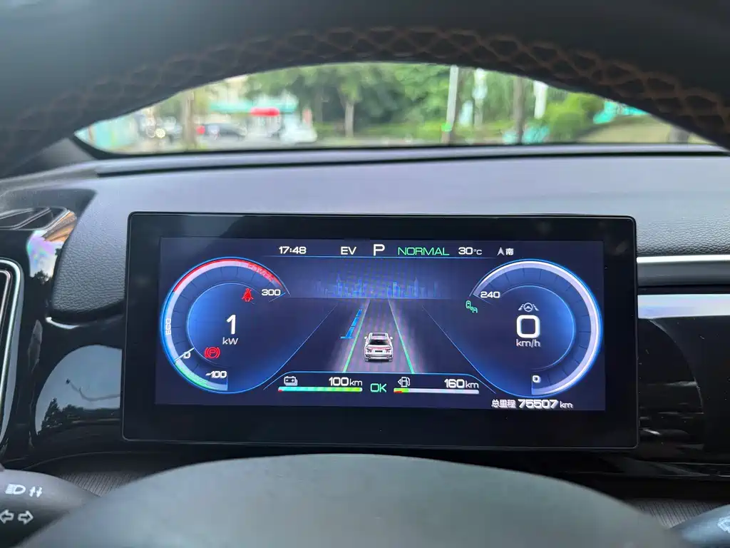BYD Pro New Energy — фото 13