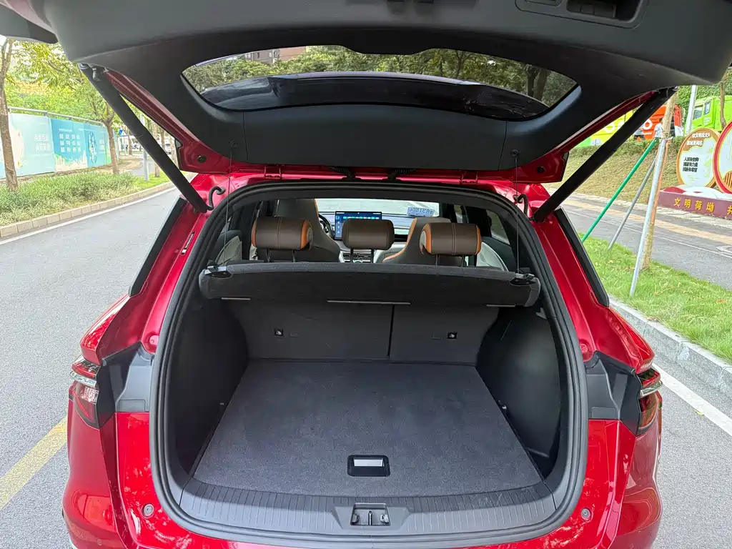 BYD Pro New Energy — фото 18