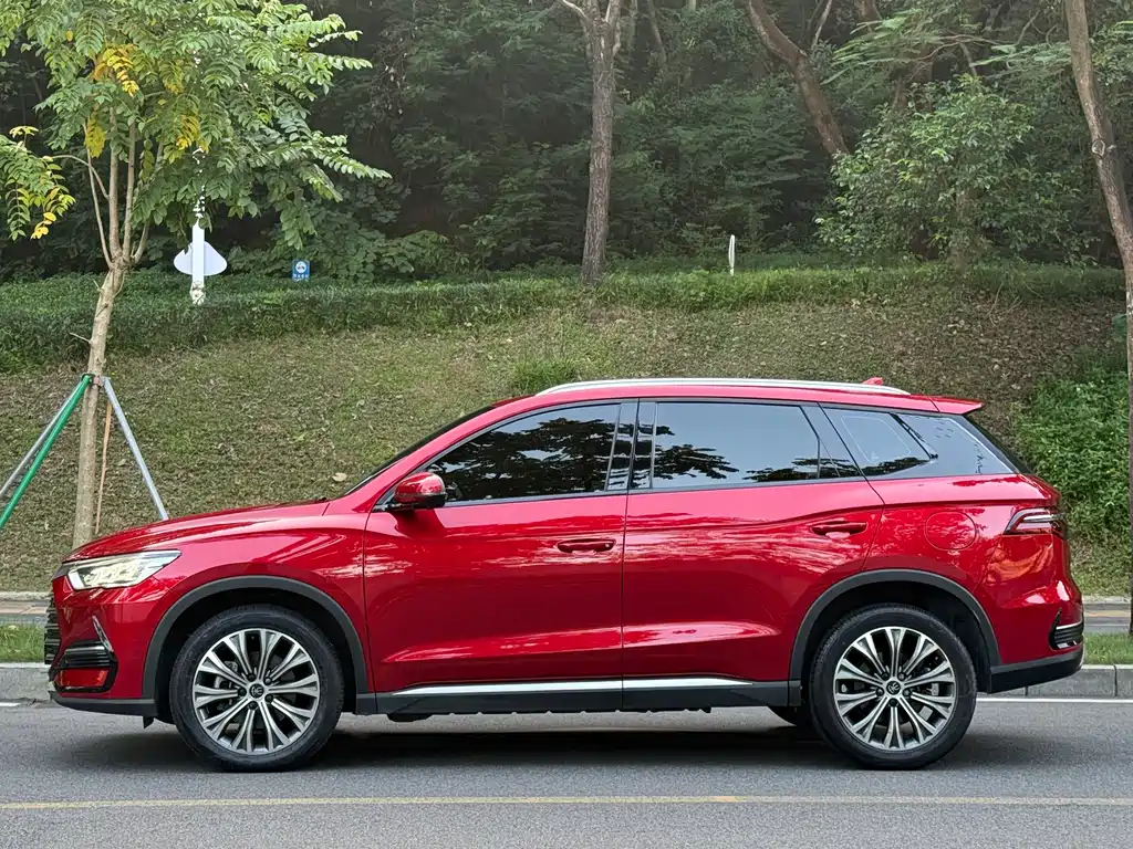 BYD Pro New Energy — фото 3