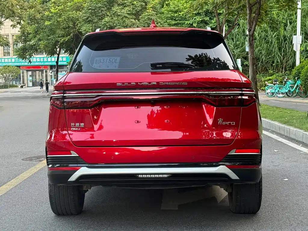 BYD Pro New Energy — фото 4