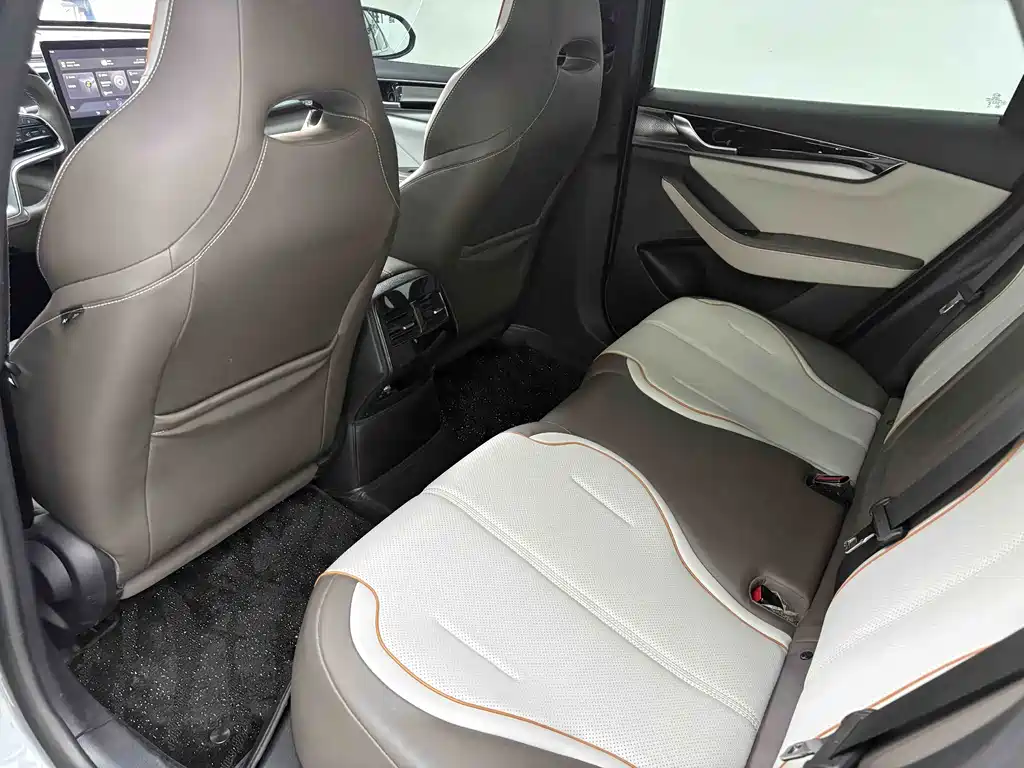 BYD Qin PLUS — фото 4
