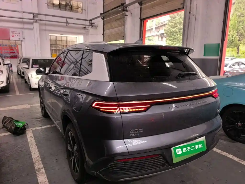 BYD Pro New Energy — фото 5