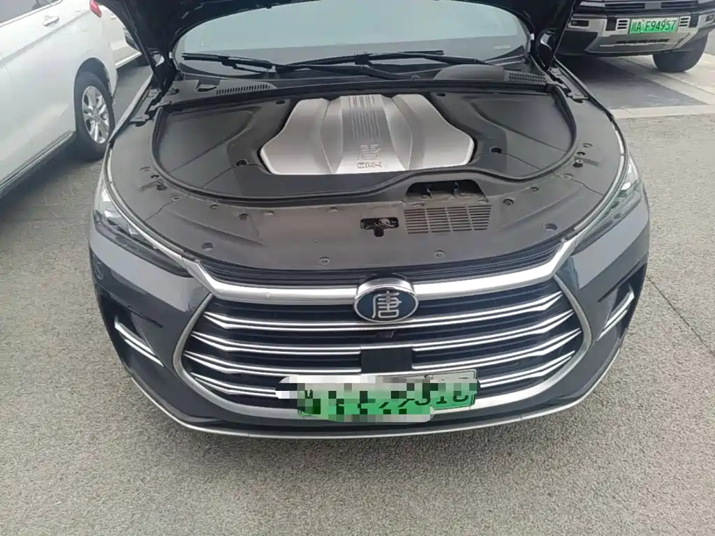 BYD Tang New Energy — фото 20