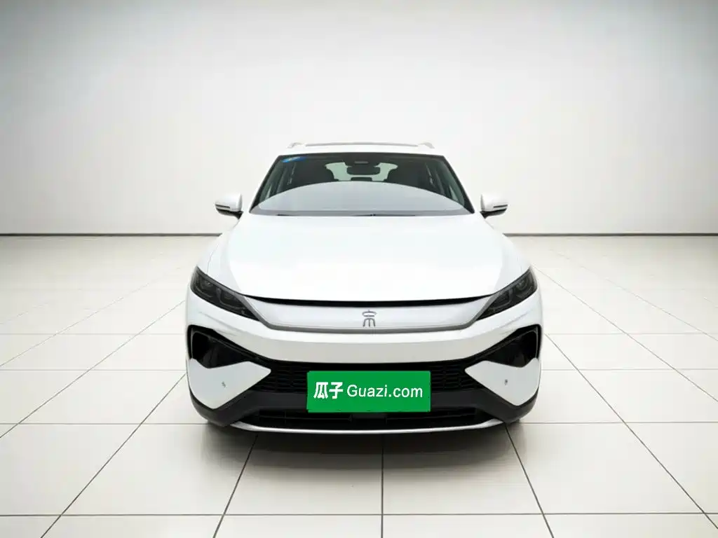 BYD Pro New Energy — фото 2