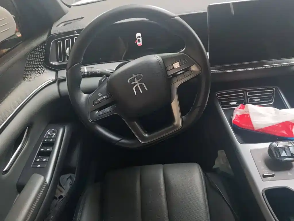 BYD Pro New Energy — фото 11