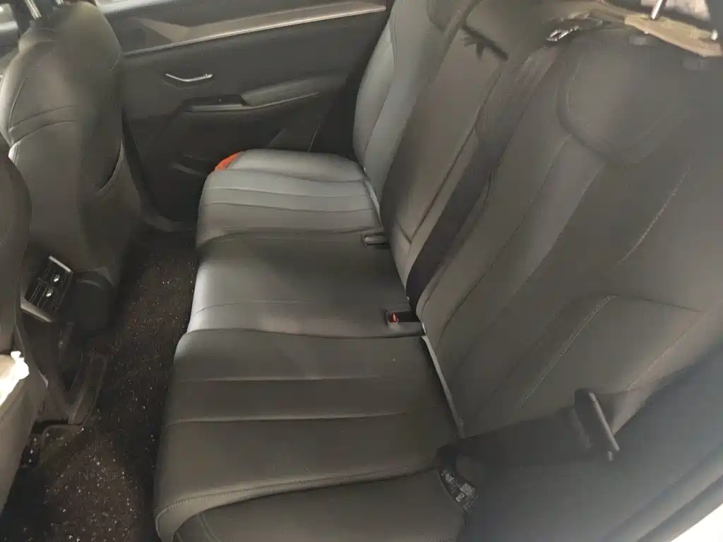 BYD Pro New Energy — фото 18