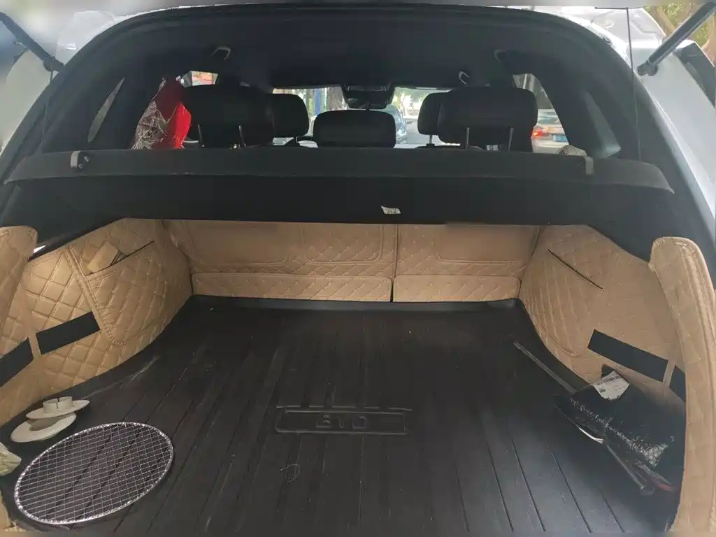 BYD Pro New Energy — фото 20