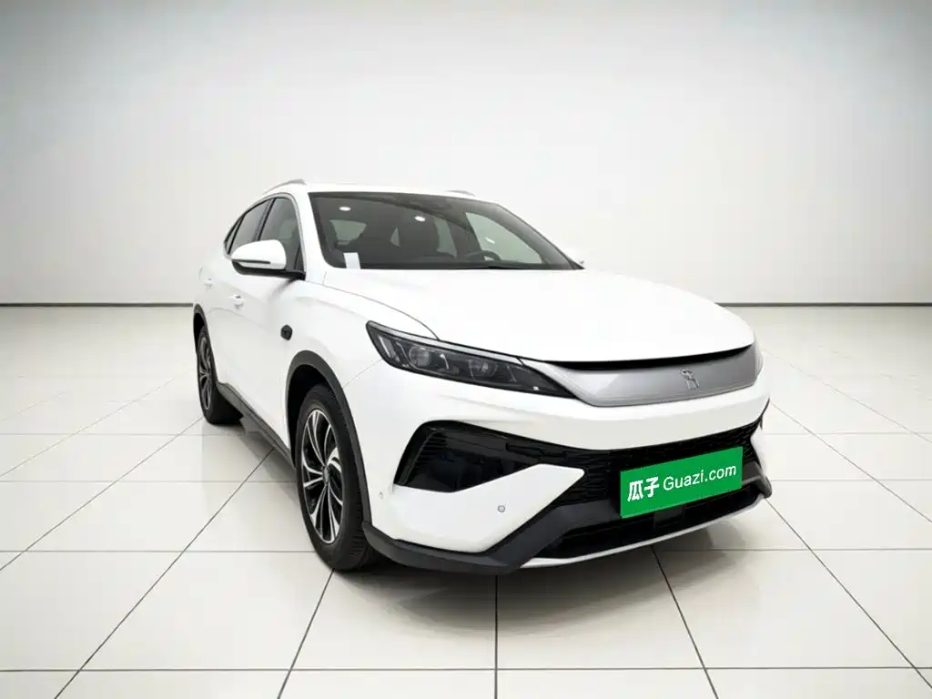 BYD Pro New Energy — фото 3