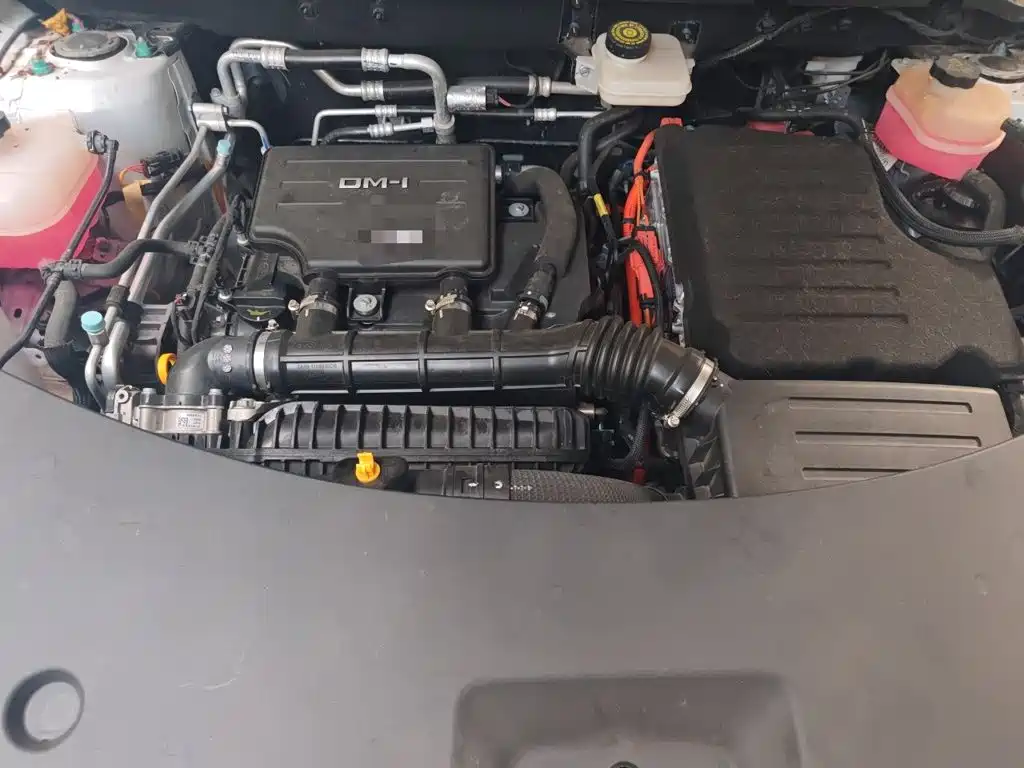 BYD Pro New Energy — фото 21