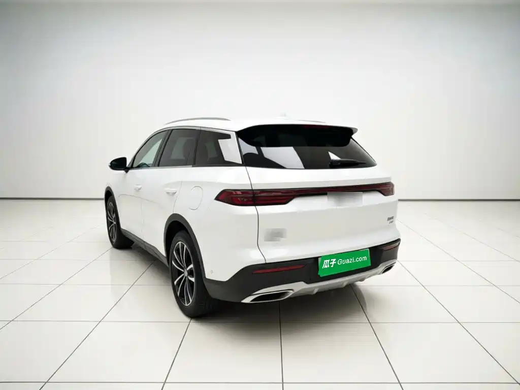 BYD Pro New Energy — фото 4