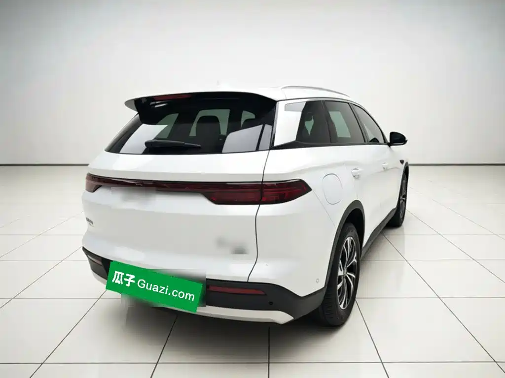 BYD Pro New Energy — фото 6