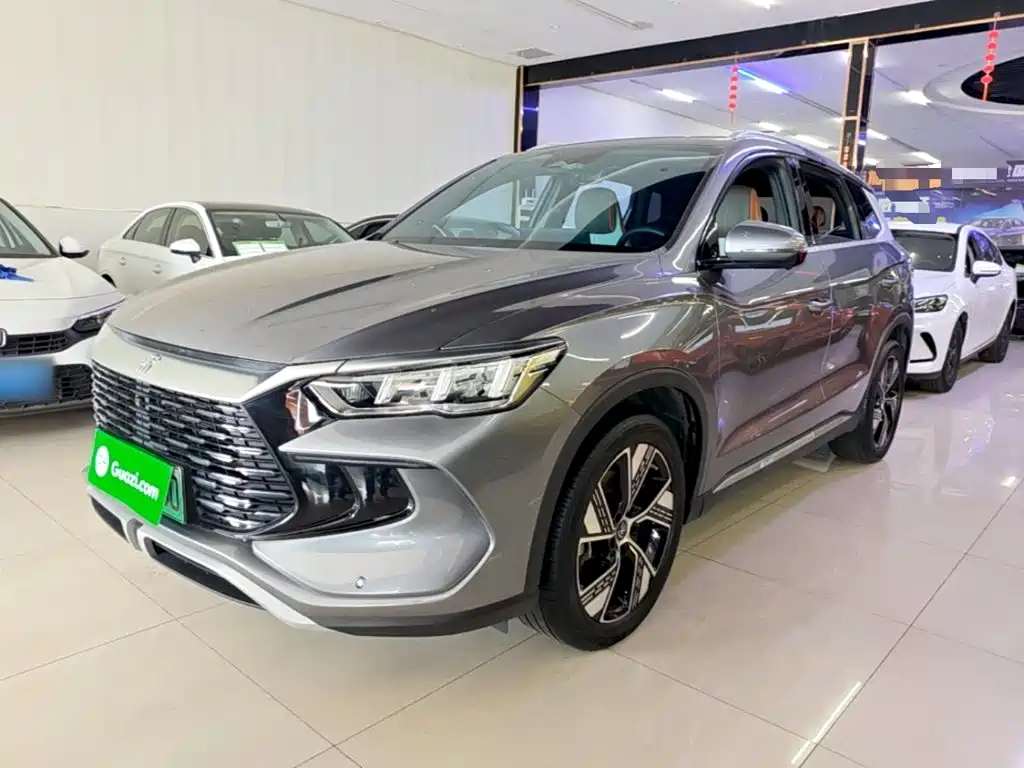 BYD Pro New Energy — фото 2