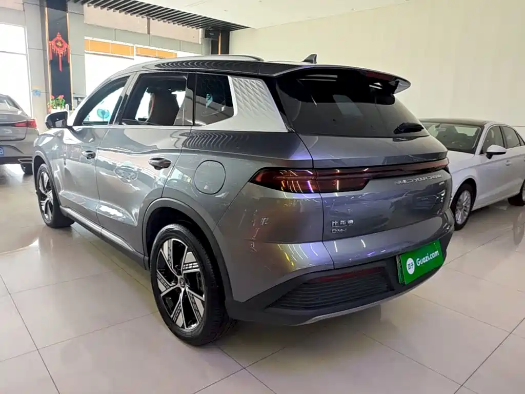 BYD Pro New Energy — фото 5