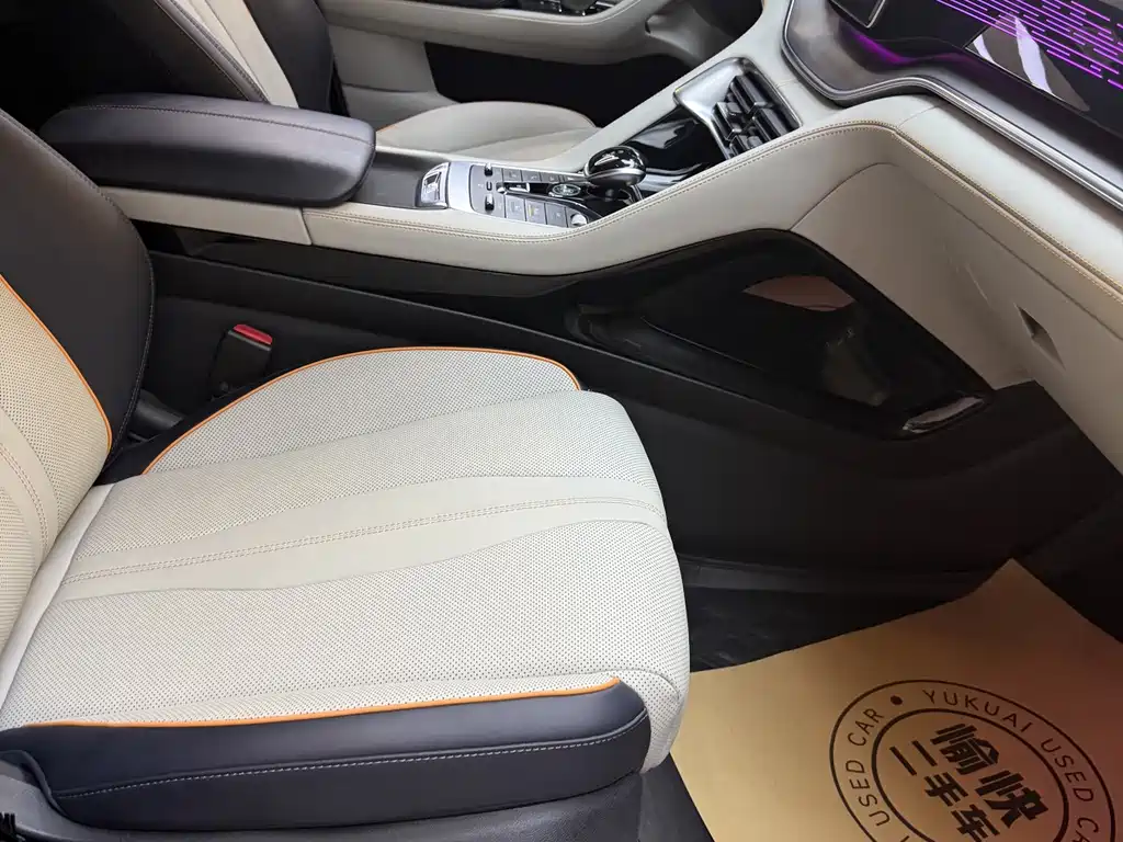 BYD PLUS New Energy — фото 11