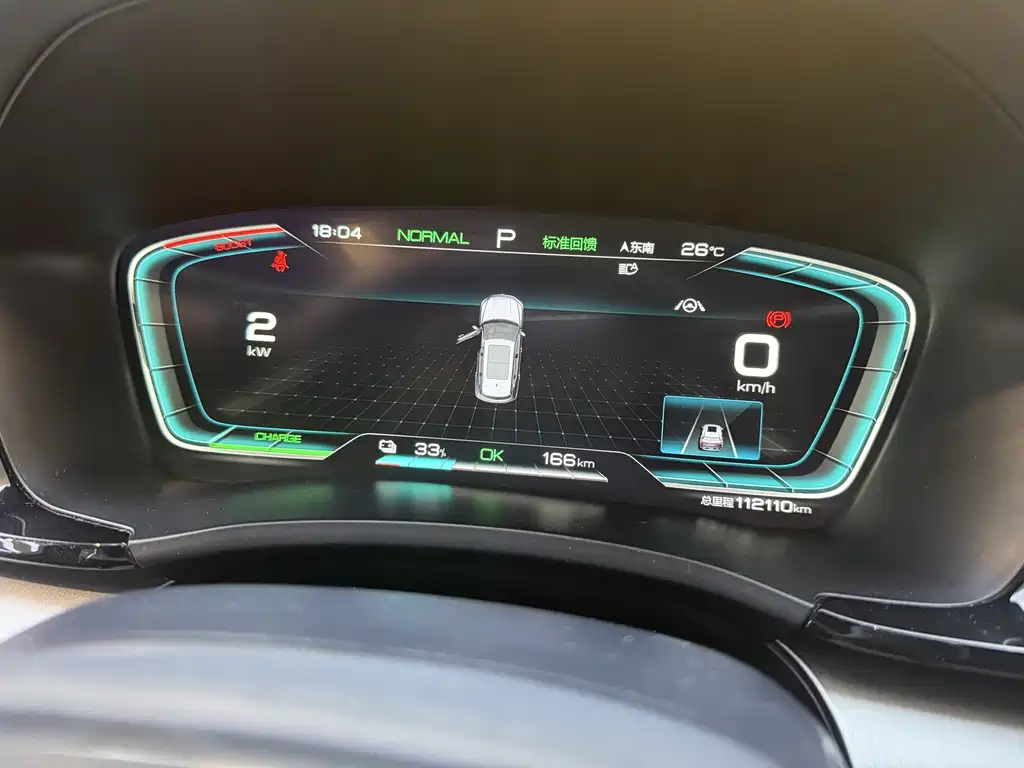 BYD PLUS New Energy — фото 13
