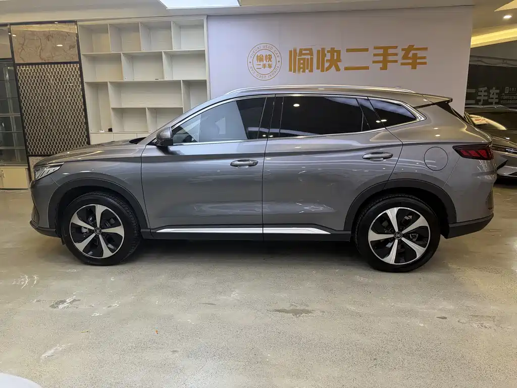BYD PLUS New Energy — фото 4